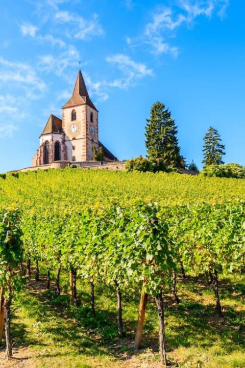 Loisirs et d&eacute;couvertes Saint-Di&eacute;-des-Vosges 1